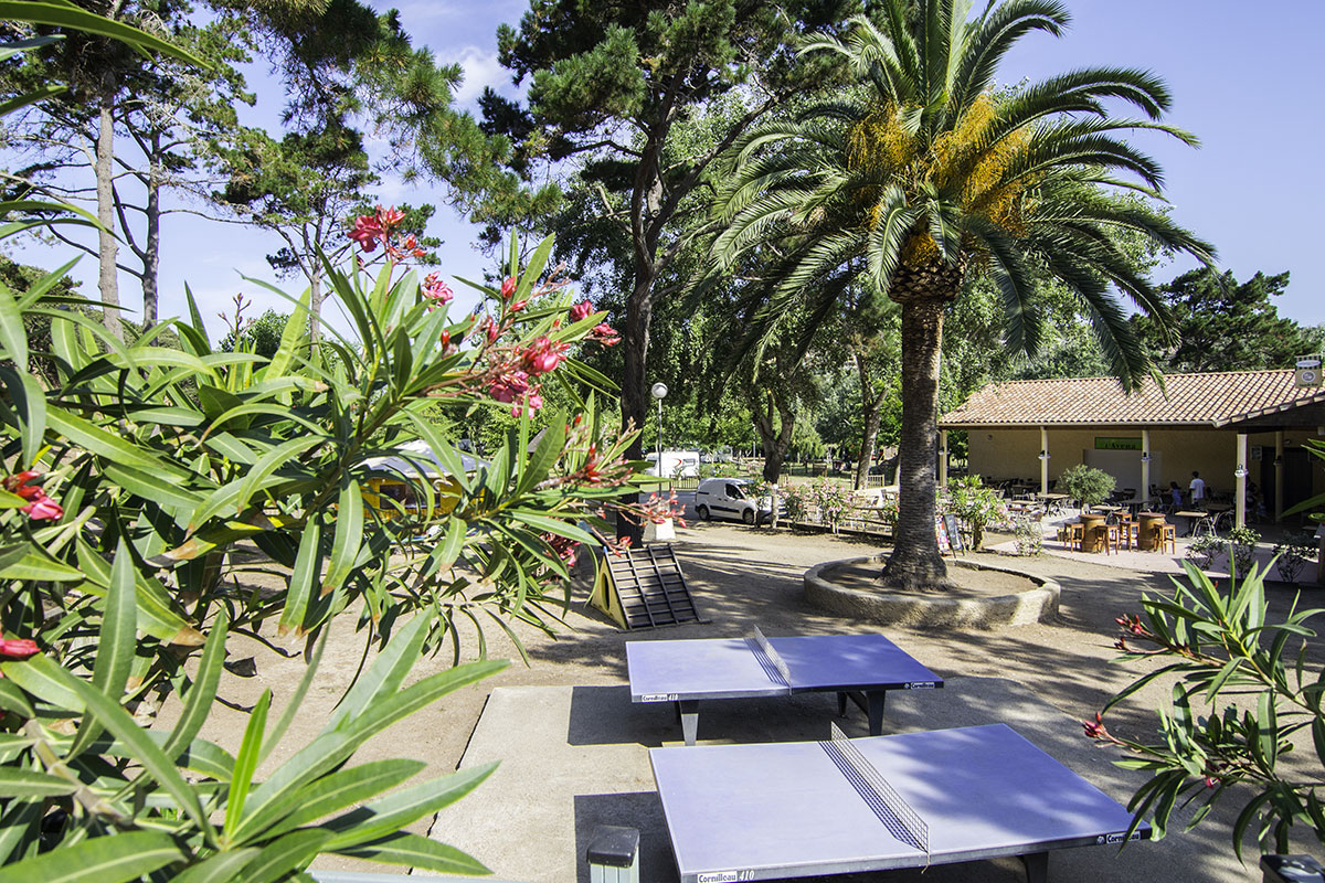 L'Avéna Korsika - Sartène visuel 6/8 L'Avéna Korsika - Sartène visuel 6/8