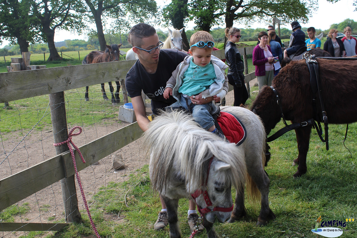 L'Etang du Pays Blanc Das Loire-Gebiet - Guérande visuel 22/26