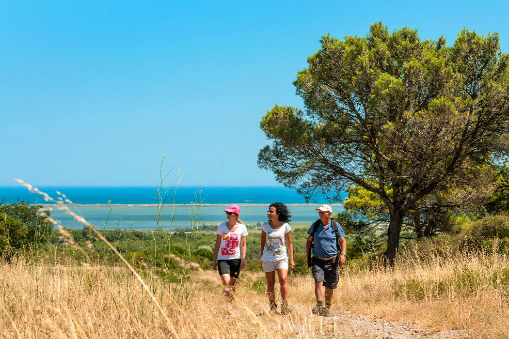 L'Europe Languedoc-Roussillon - Vic-la-Gardiole visuel 2/15