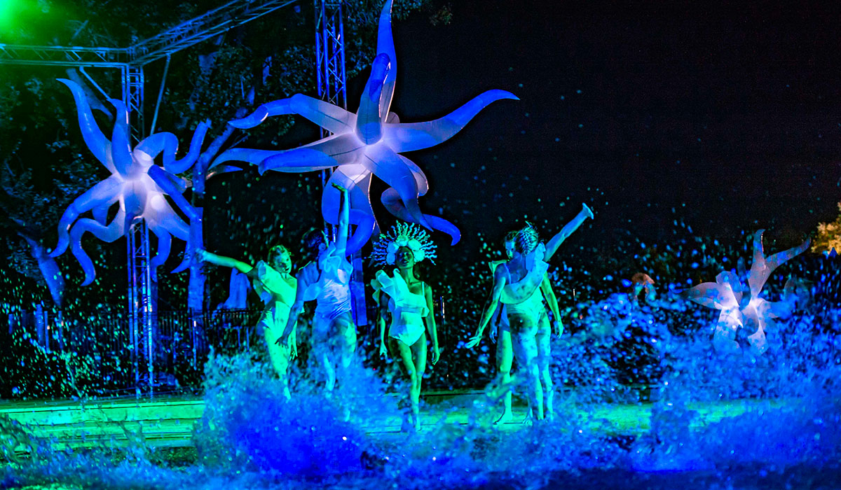 L'Hippocampe Provence-Alpes-Côte d'Azur - Volonne visuel 29/36