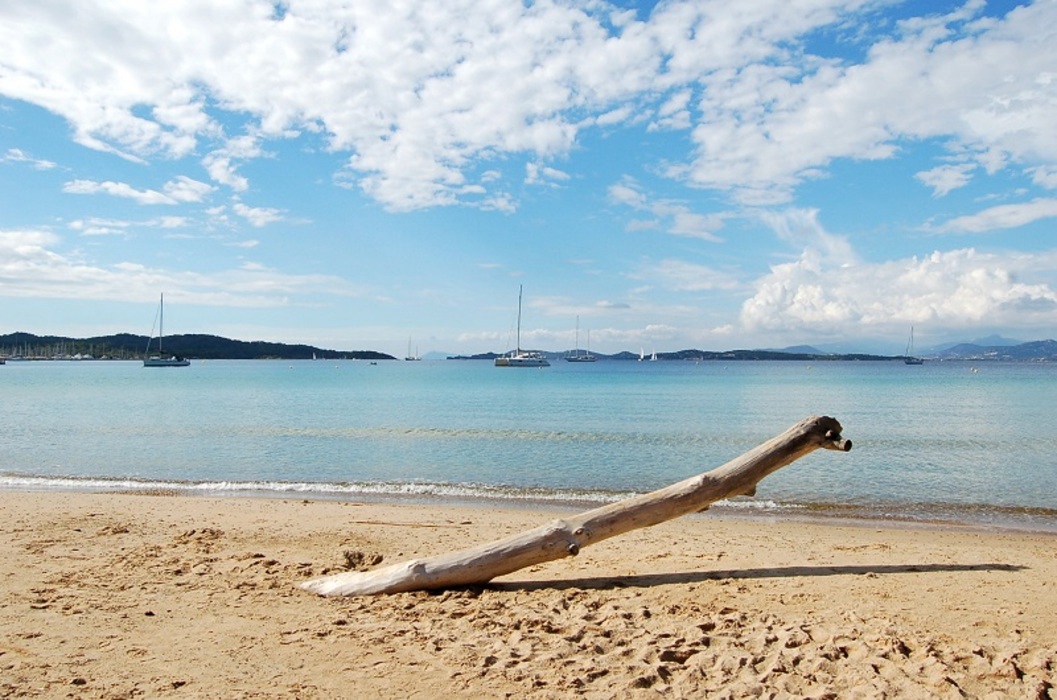 L'Ile d'Or Provence-Alpes-Côte d'Azur - Hyères visuel 3/32 L'Ile d'Or Provence-Alpes-Côte d'Azur - Hyères visuel 3/32