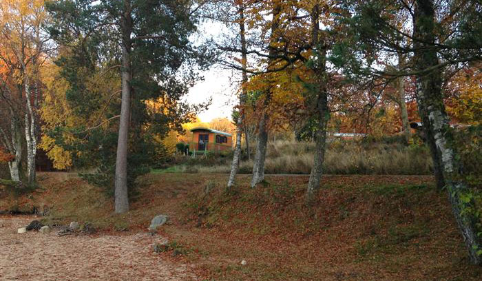 La Cabane Verte Burgunder - Moux-en-Morvan visuel 2/4 La Cabane Verte Burgunder - Moux-en-Morvan visuel 2/4