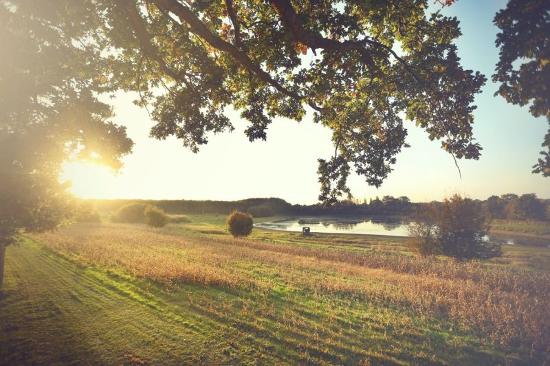 Domaine la Chouette Cabane Das Loire-Gebiet - Pommerieux visuel 13/18