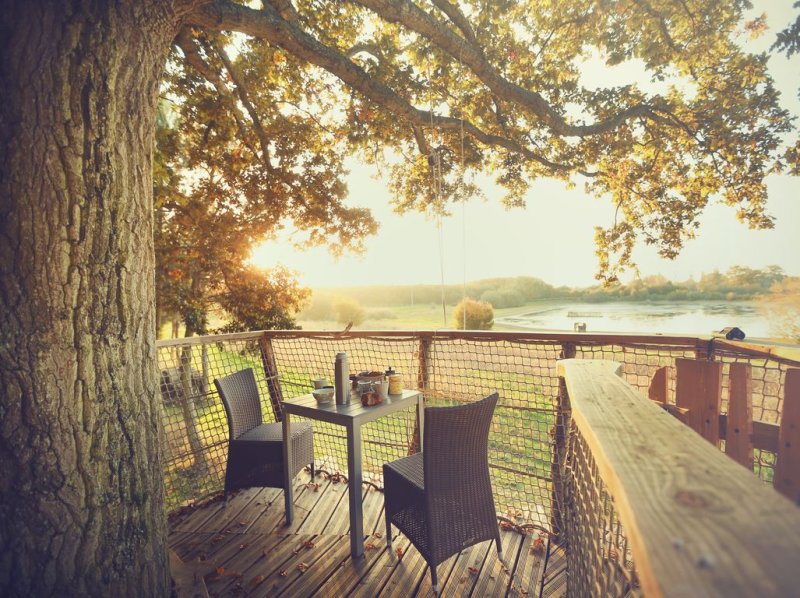 Domaine la Chouette Cabane Das Loire-Gebiet - Pommerieux visuel 12/18