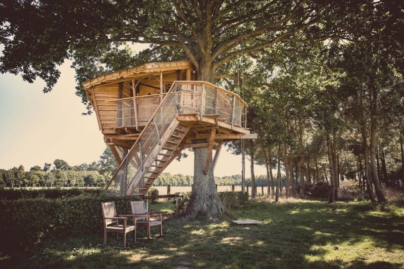 Domaine la Chouette Cabane Das Loire-Gebiet - Pommerieux visuel 6/18