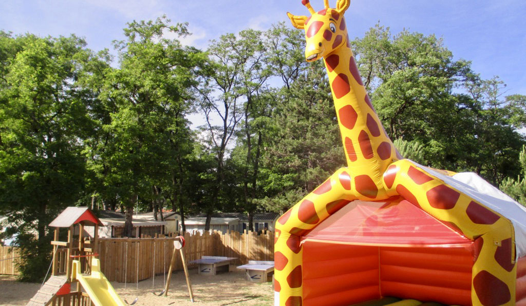 La Courance Das Loire-Gebiet - Saint-Brévin-les-Pins visuel 30/34