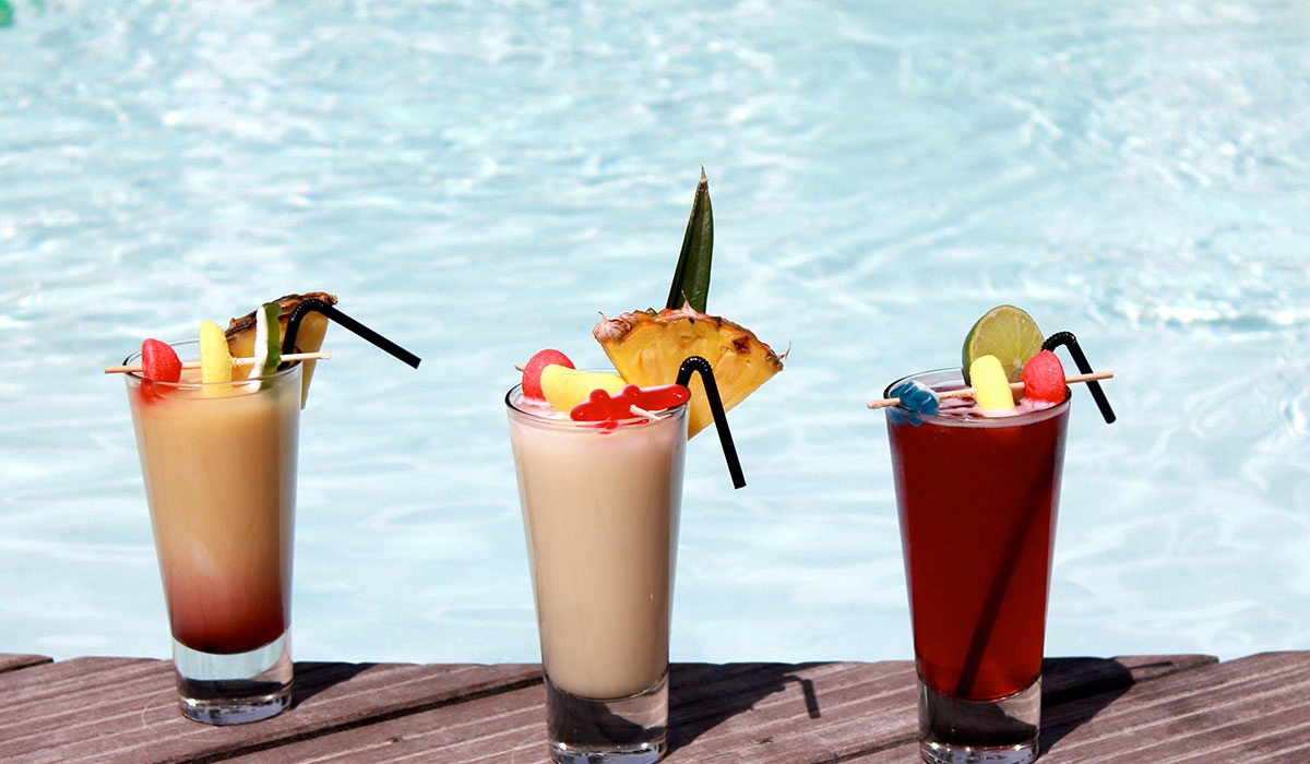 La Courance Das Loire-Gebiet - Saint-Brévin-les-Pins visuel 26/34