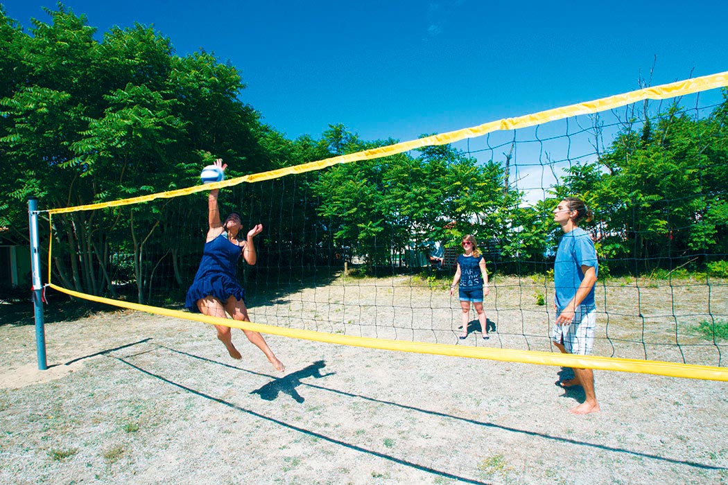 La Côte Sauvage Poitou-Charentes - Saint-Clément-des-Baleines visuel 2/17