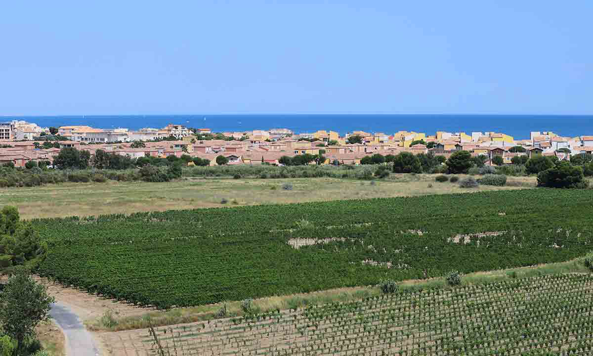 Campéole La Côte des Roses Languedoc-Roussillon - Narbonne-Plage visuel 27/41 Campéole La Côte des Roses Languedoc-Roussillon - Narbonne-Plage visuel 27/41