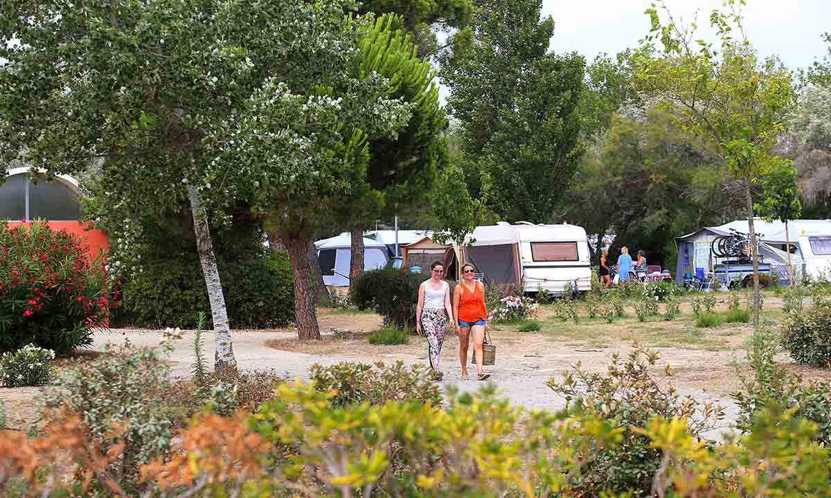 Campéole La Côte des Roses Languedoc-Roussillon - Narbonne-Plage visuel 21/41 Campéole La Côte des Roses Languedoc-Roussillon - Narbonne-Plage visuel 21/41
