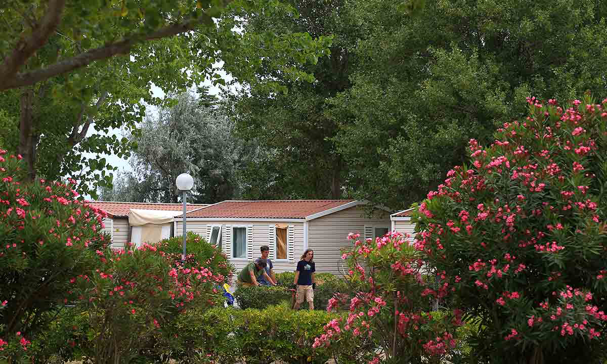 Campéole La Côte des Roses Languedoc-Roussillon - Narbonne-Plage visuel 23/41 Campéole La Côte des Roses Languedoc-Roussillon - Narbonne-Plage visuel 23/41