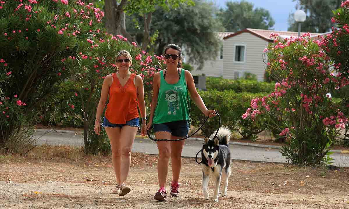 Campéole La Côte des Roses Languedoc-Roussillon - Narbonne-Plage visuel 26/41 Campéole La Côte des Roses Languedoc-Roussillon - Narbonne-Plage visuel 26/41