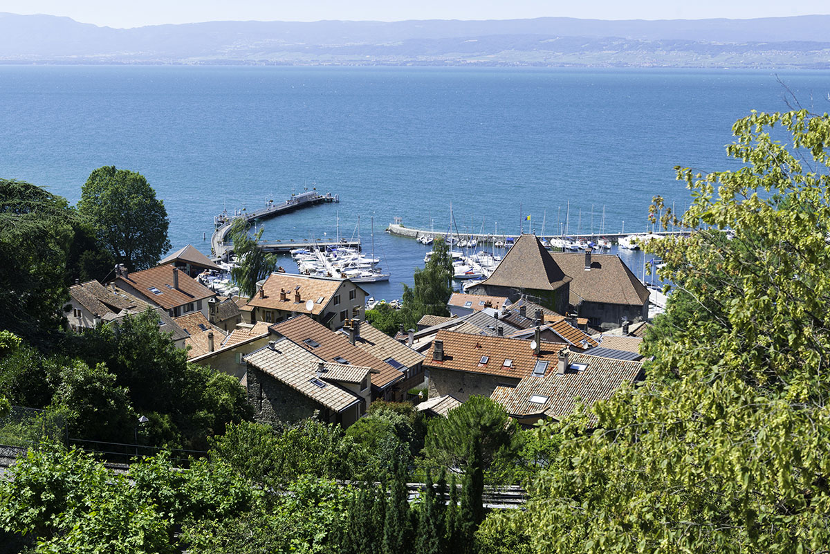 La Dranse Rhône-Alpen - Thonon-les-Bains visuel 4/8 La Dranse Rhône-Alpen - Thonon-les-Bains visuel 4/8