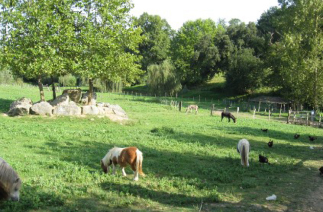 La Ferme des 4 Chênes Aquitanien - Urt visuel 5/7 La Ferme des 4 Chênes Aquitanien - Urt visuel 5/7