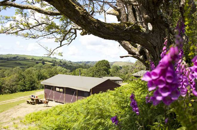 La Ferme de la Folivraie Basse-Normandie - Louvières visuel 2/4