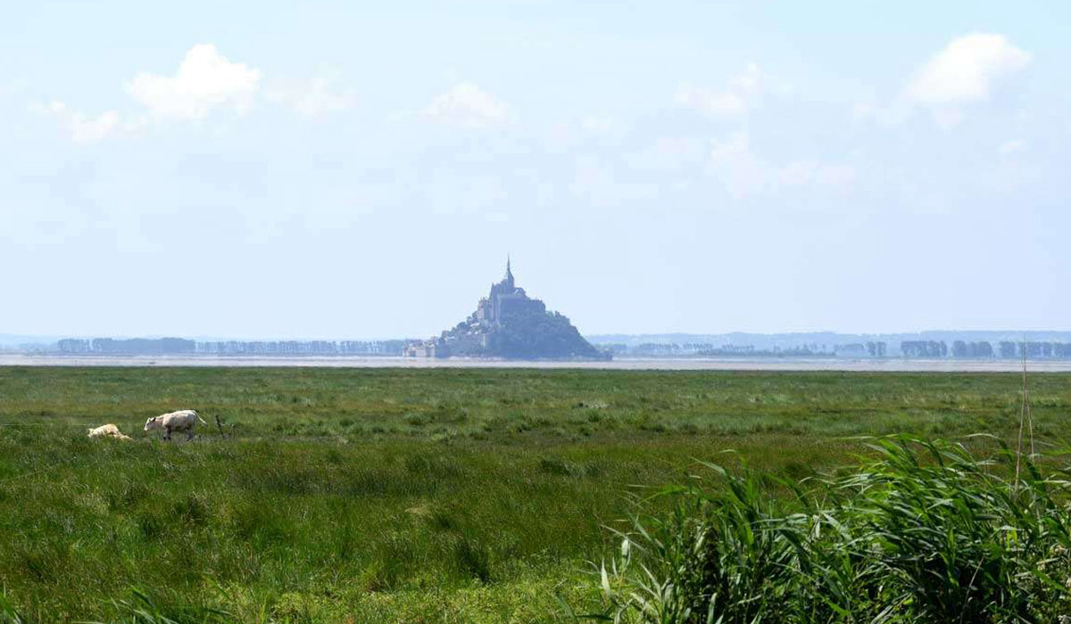La Ferme de la Moriciere Basse-Normandie - Sartilly visuel 1/5