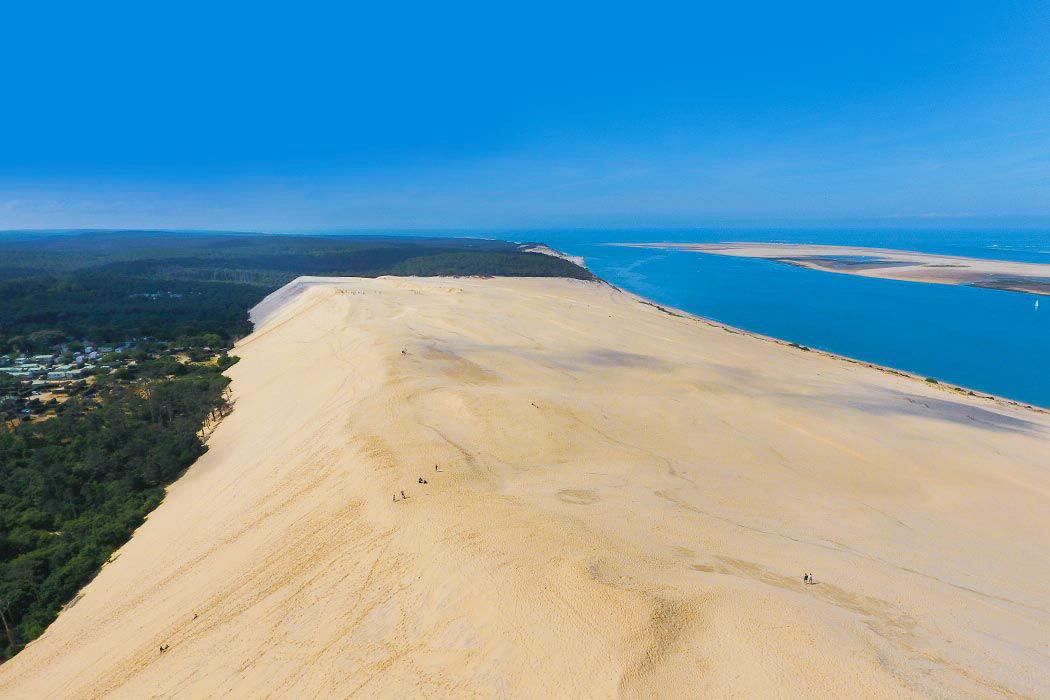 La Forêt du Pilat Aquitanien - Pyla sur Mer visuel 4/25