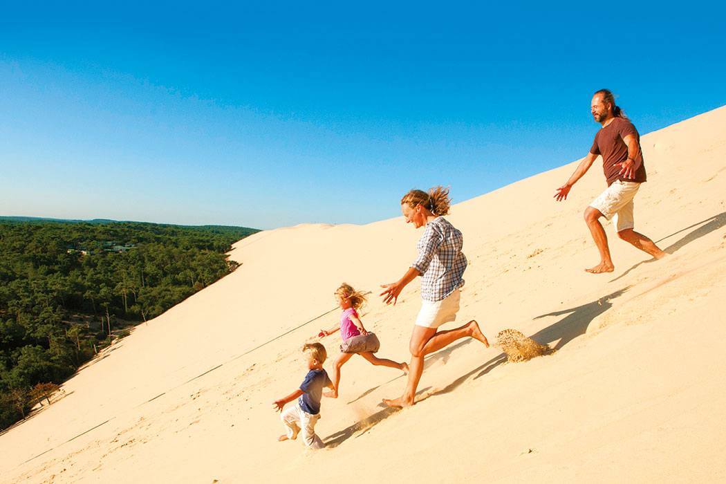 La Forêt du Pilat Aquitanien - Pyla sur Mer visuel 8/25