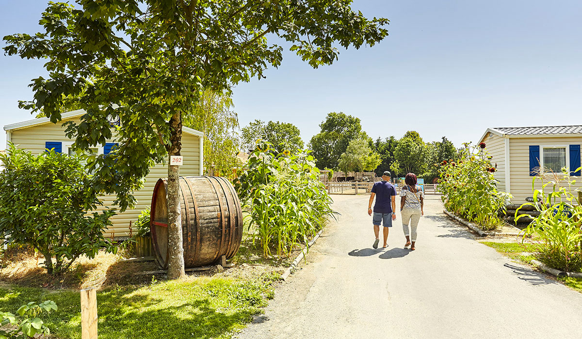 La Grand'Métairie Das Loire-Gebiet - Saint-Hilaire-la-Forêt visuel 36/46 La Grand'Métairie Das Loire-Gebiet - Saint-Hilaire-la-Forêt visuel 36/46