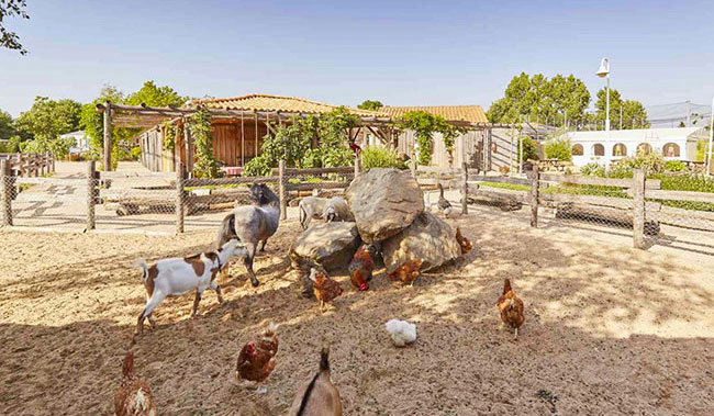 La Grand'Métairie Das Loire-Gebiet - Saint-Hilaire-la-Forêt visuel 44/46 La Grand'Métairie Das Loire-Gebiet - Saint-Hilaire-la-Forêt visuel 44/46