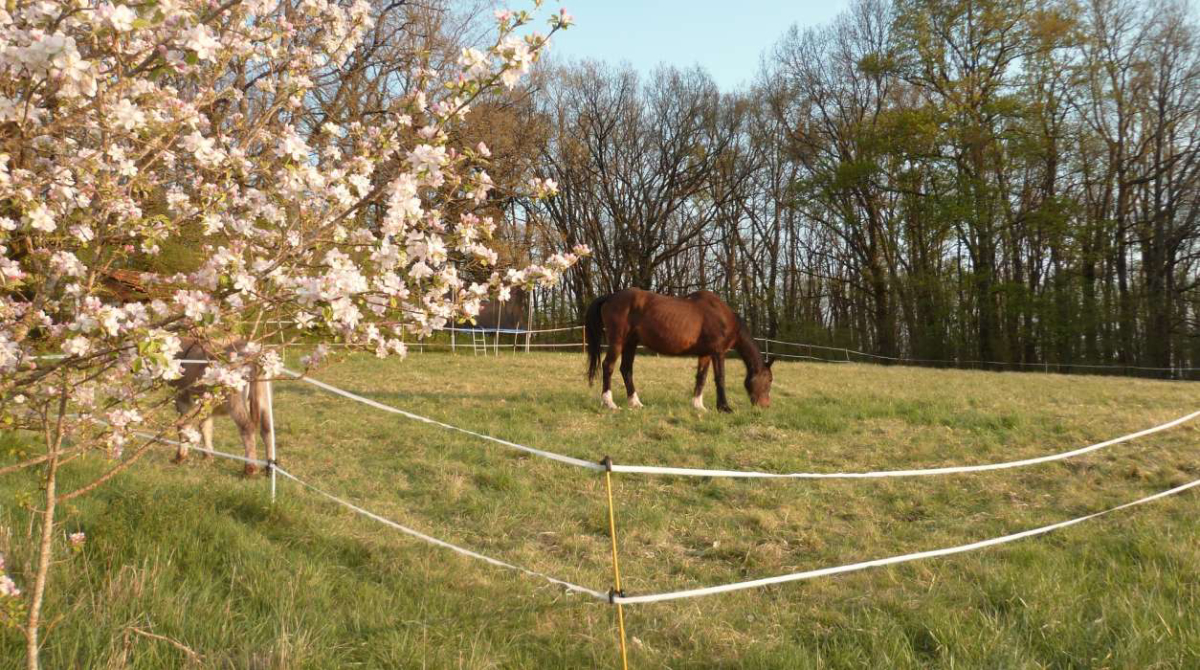 La Grange du Bost Aquitanien - Montagrier visuel 3/3 La Grange du Bost Aquitanien - Montagrier visuel 3/3