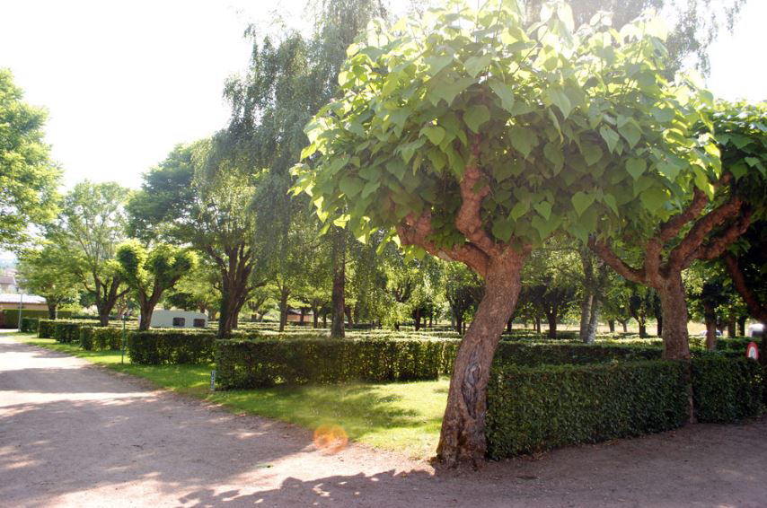 La Graviere Auvergne - Saint-Yorre visuel 1/1 La Graviere Auvergne - Saint-Yorre visuel 1/1