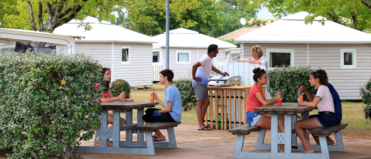 La Grière Das Loire-Gebiet - La Tranche-sur-Mer visuel 6/6