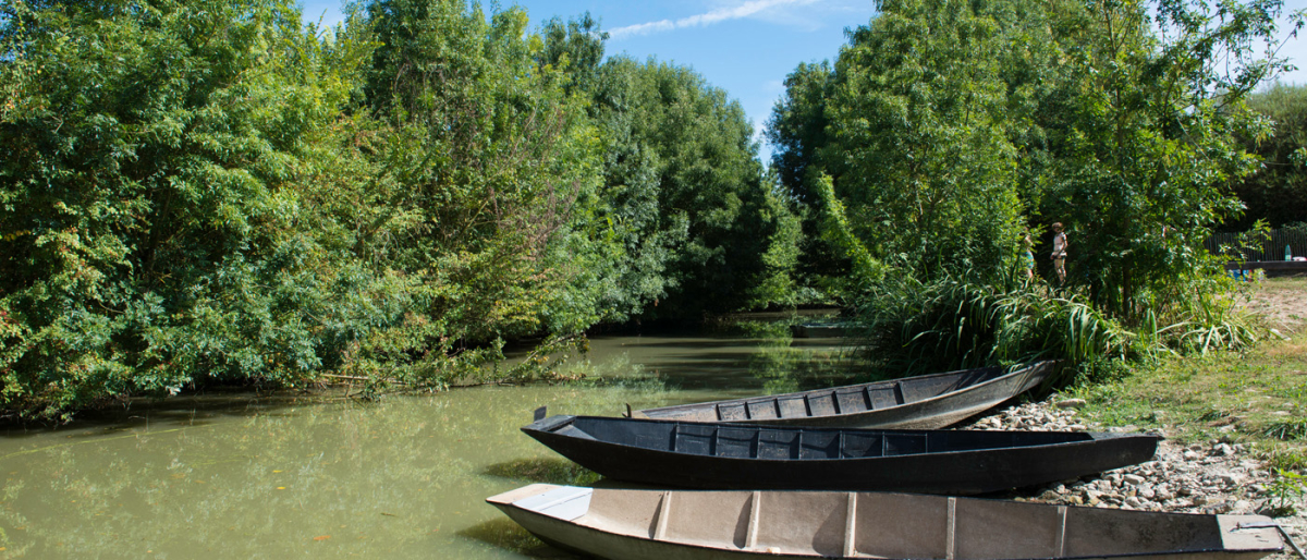 La Grière Das Loire-Gebiet - La Tranche-sur-Mer visuel 2/6
