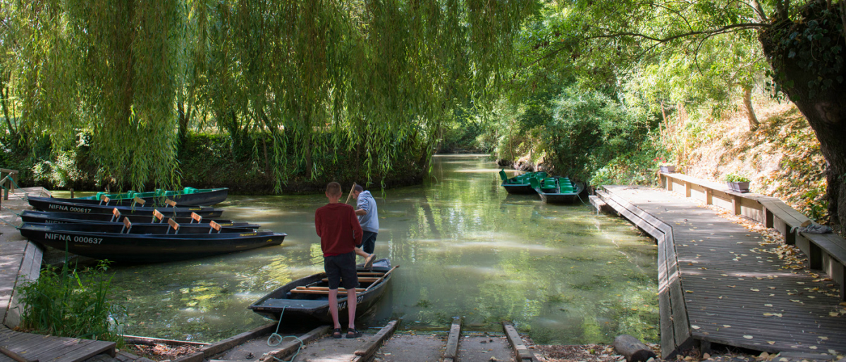 La Grière Das Loire-Gebiet - La Tranche-sur-Mer visuel 3/6