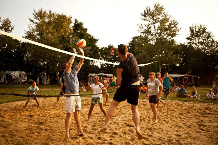 La Guyonnière Das Loire-Gebiet - Saint-Julien-des-Landes visuel 24/34