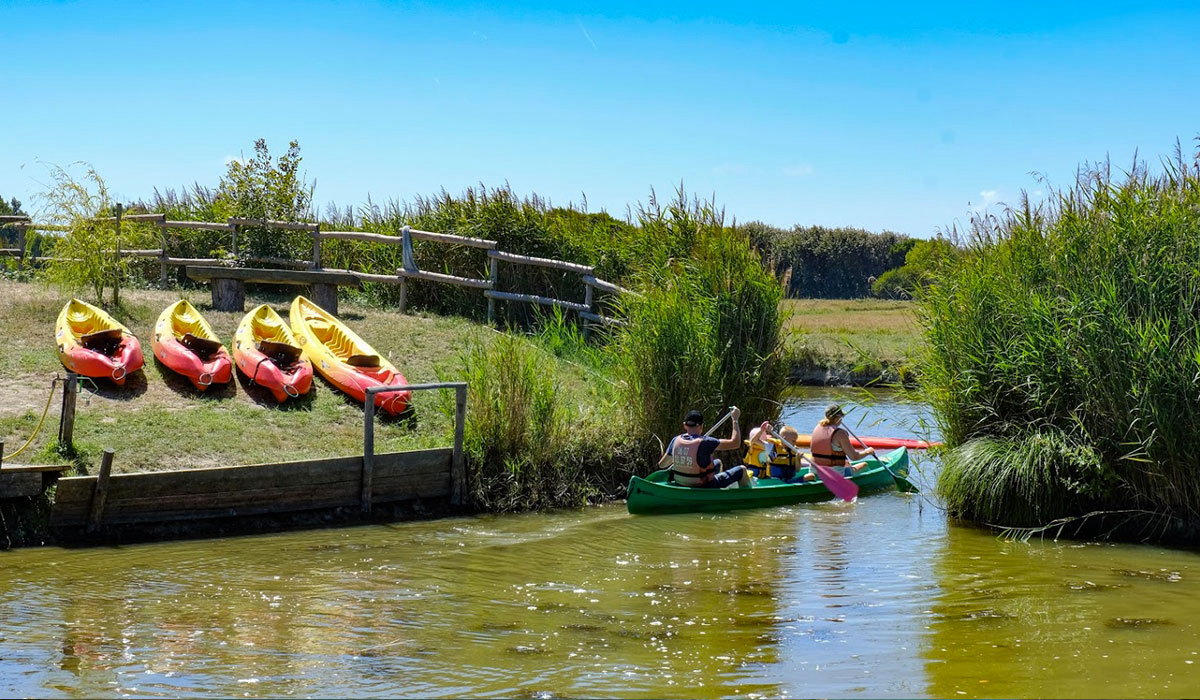 La Guyonnière Das Loire-Gebiet - Saint-Julien-des-Landes visuel 11/34