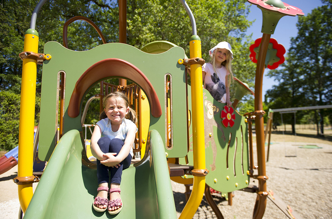 La Linotte Aquitanien - Le Bugue visuel 6/12 La Linotte Aquitanien - Le Bugue visuel 6/12