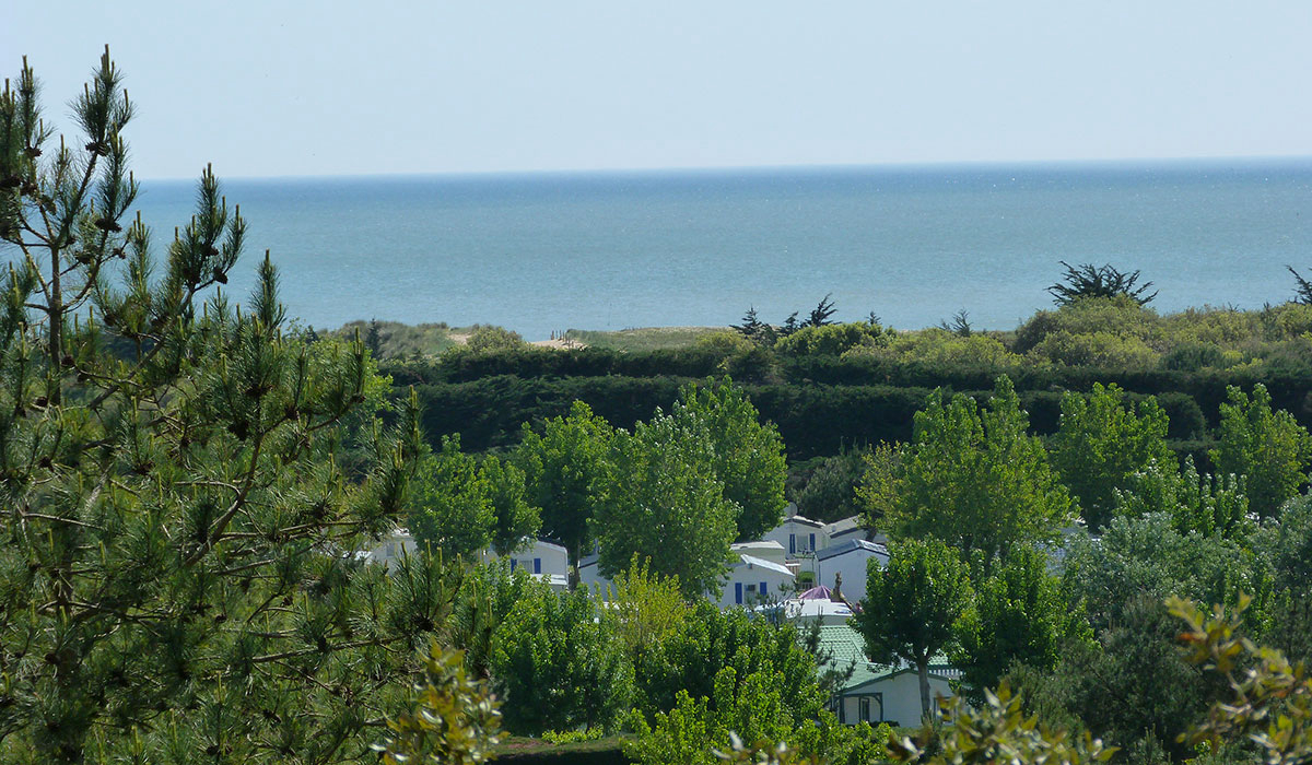 La Parée du Jonc Das Loire-Gebiet - Saint-Jean-de-Monts visuel 6/17 La Parée du Jonc Das Loire-Gebiet - Saint-Jean-de-Monts visuel 6/17