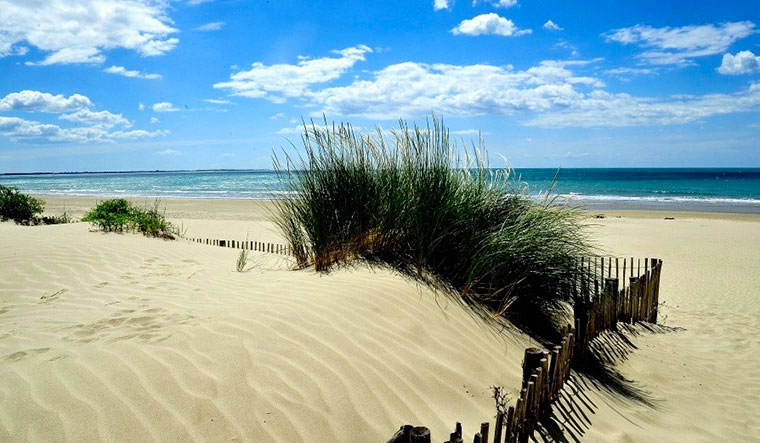 La Plage du Midi Languedoc-Roussillon - Portiragnes visuel 2/7 La Plage du Midi Languedoc-Roussillon - Portiragnes visuel 2/7