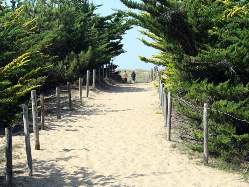 La Prairie Das Loire-Gebiet - Saint-Hilaire-de-Riez visuel 8/15