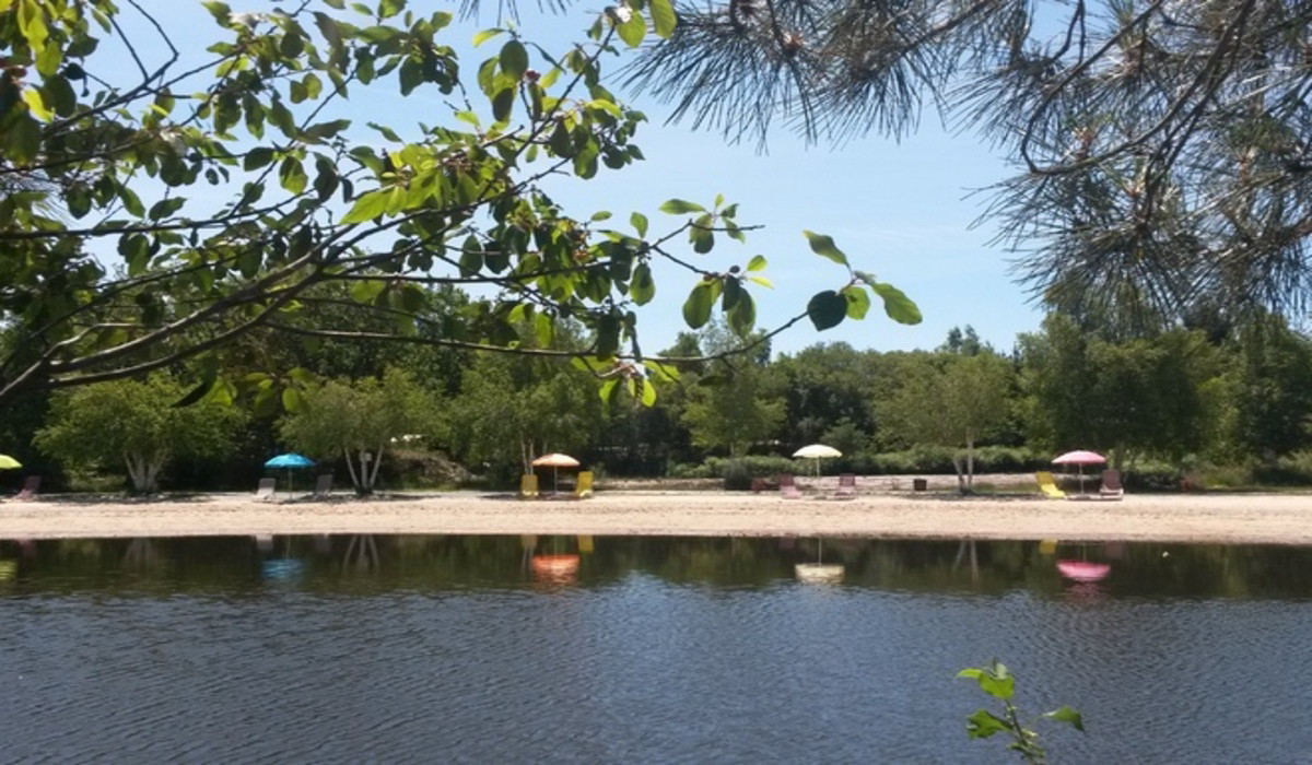 La Rochade Aquitanien - Naujac-sur-Mer visuel 3/10