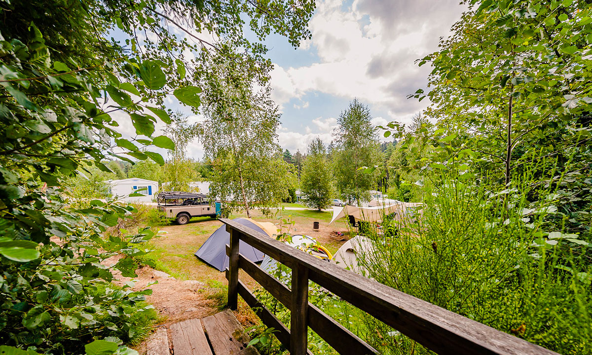 La Sténiole Lothringen - Granges-sur-Vologne visuel 21/32