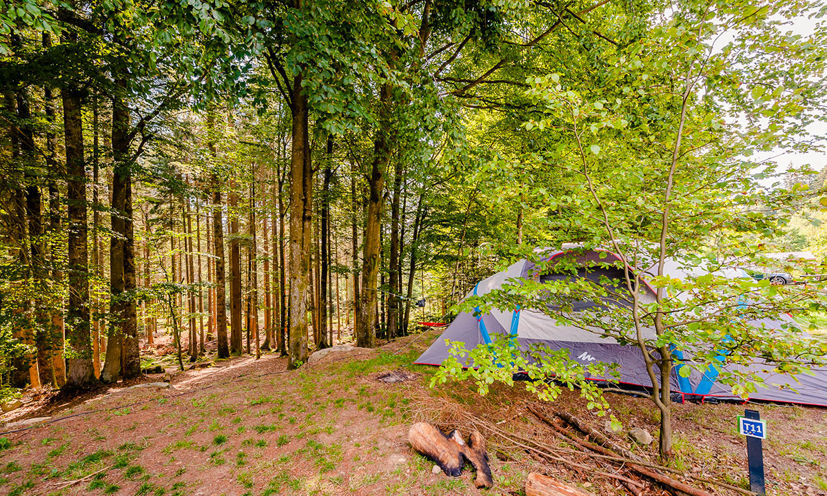 La Sténiole Lothringen - Granges-sur-Vologne visuel 20/32