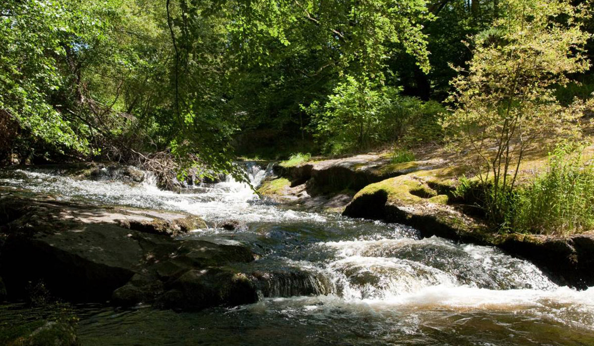 La ferme des Champeaux Limousin - Saint-Amand-le-Petit visuel 1/5 La ferme des Champeaux Limousin - Saint-Amand-le-Petit visuel 1/5