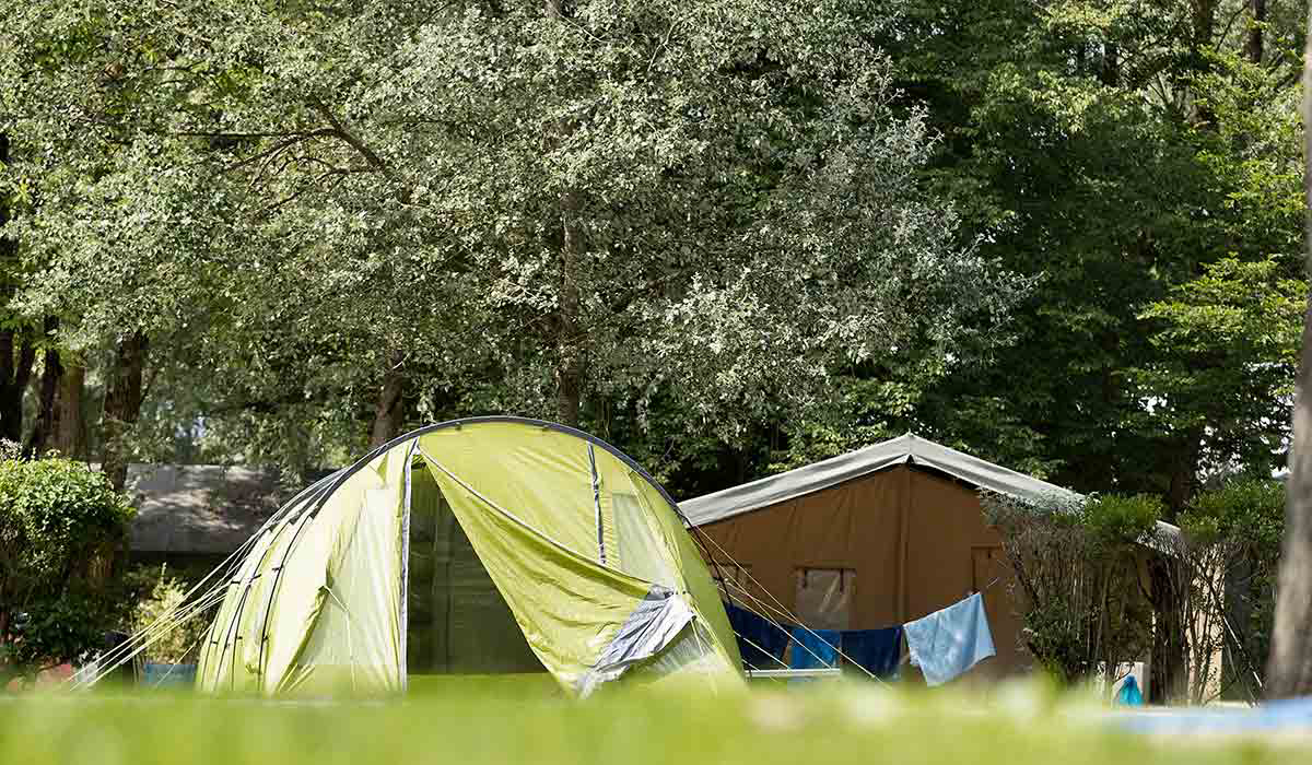 Lac d'Orient Champagner-Ardennen - Mesnil-Saint-Père visuel 11/15 Lac d'Orient Champagner-Ardennen - Mesnil-Saint-Père visuel 11/15