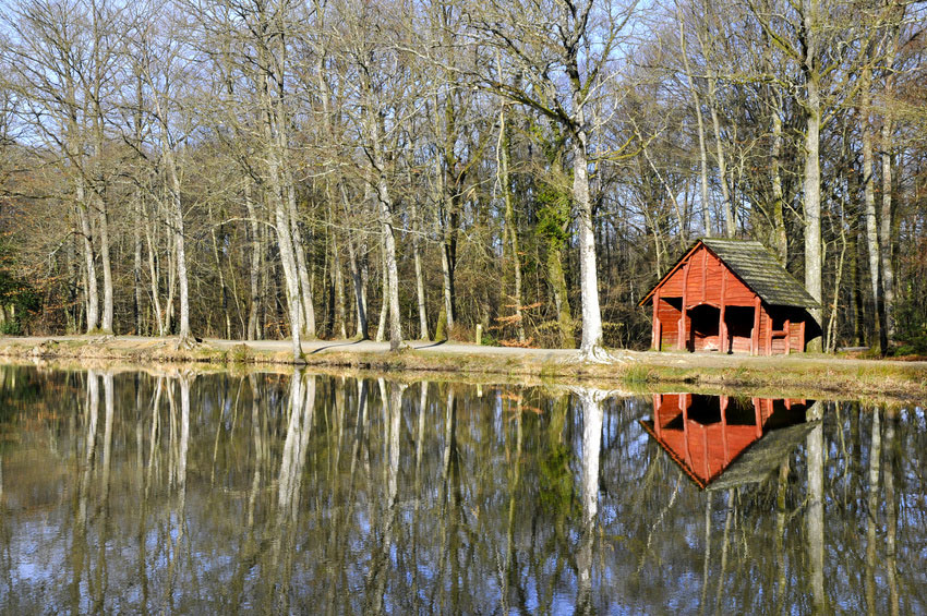 Lac de Sillé Das Loire-Gebiet - Sillé-le-Guillaume visuel 1/1
