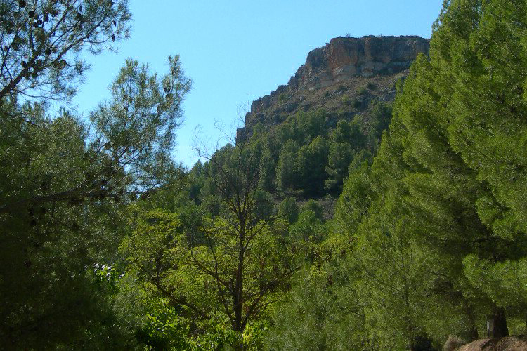 Lago Resort Aragonien - Nuévalos visuel 5/7