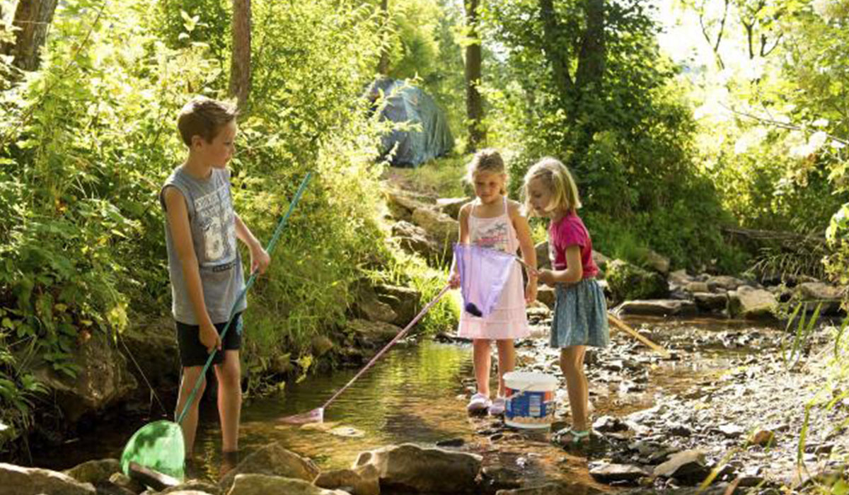 Landal Wirfttal Rheinland-Pfalz - stadtkyll visuel 1/4 Landal Wirfttal Rheinland-Pfalz - stadtkyll visuel 1/4