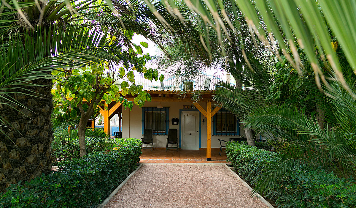 Las Palmeras Valencia Gemeinschaft - Crevillente visuel 2/2