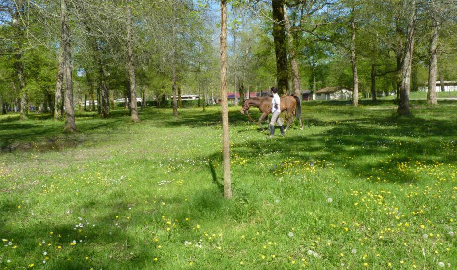 Le Bascat Aquitanien - Dax visuel 1/4