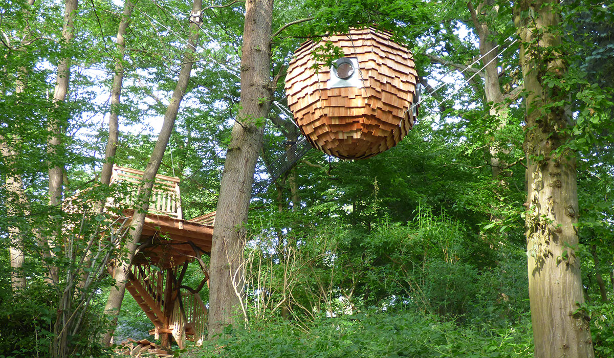 Domaine le Bois de Rosoy Ile de France - Rosoy-en-Multien visuel 5/11 Domaine le Bois de Rosoy Ile de France - Rosoy-en-Multien visuel 5/11