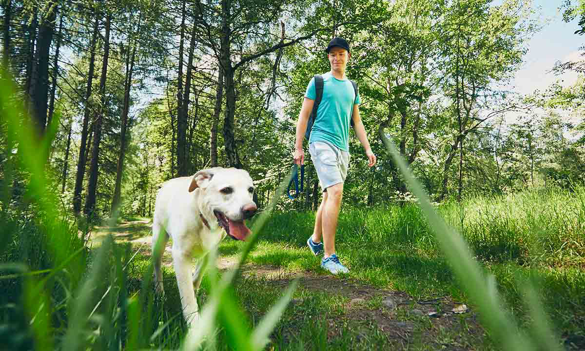 Le Brabois Lothringen - Villers-lès-Nancy visuel 9/14 Le Brabois Lothringen - Villers-lès-Nancy visuel 9/14