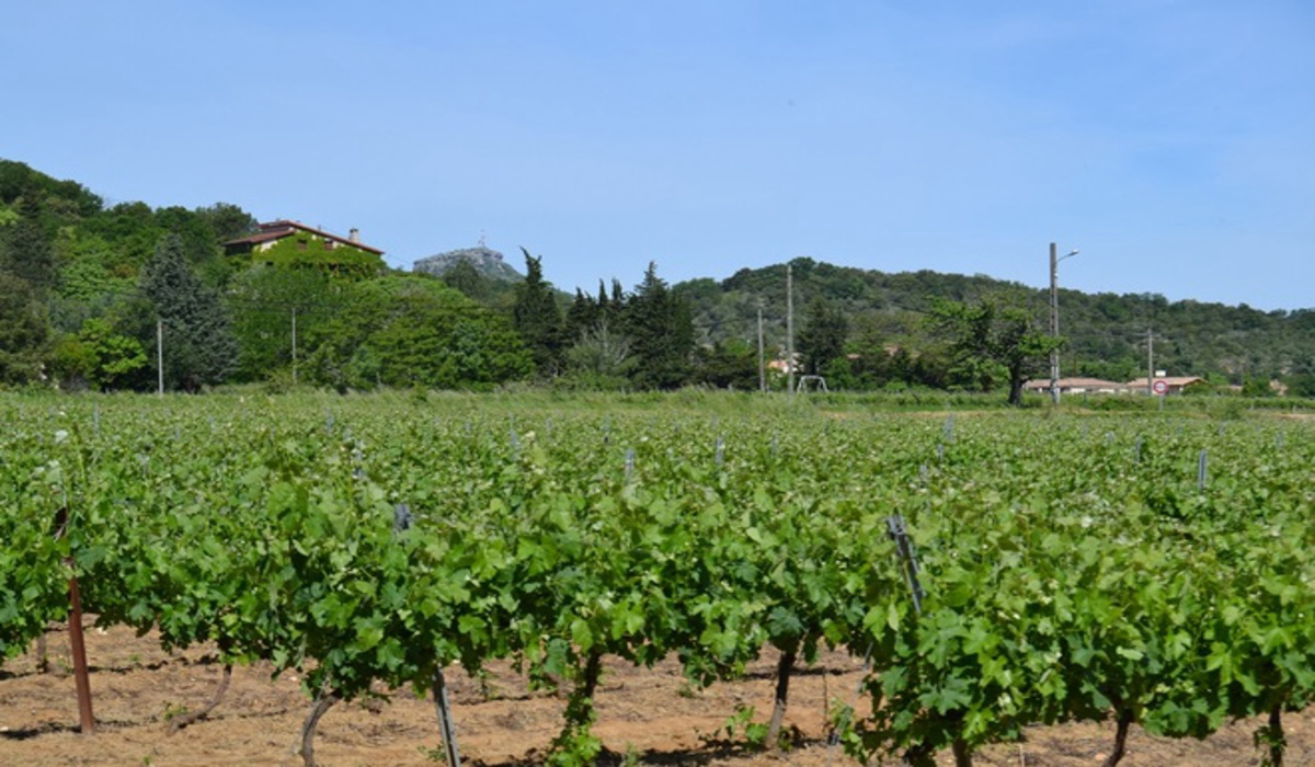 Le Casque Roi Rhône-Alpen - Salavas visuel 7/9