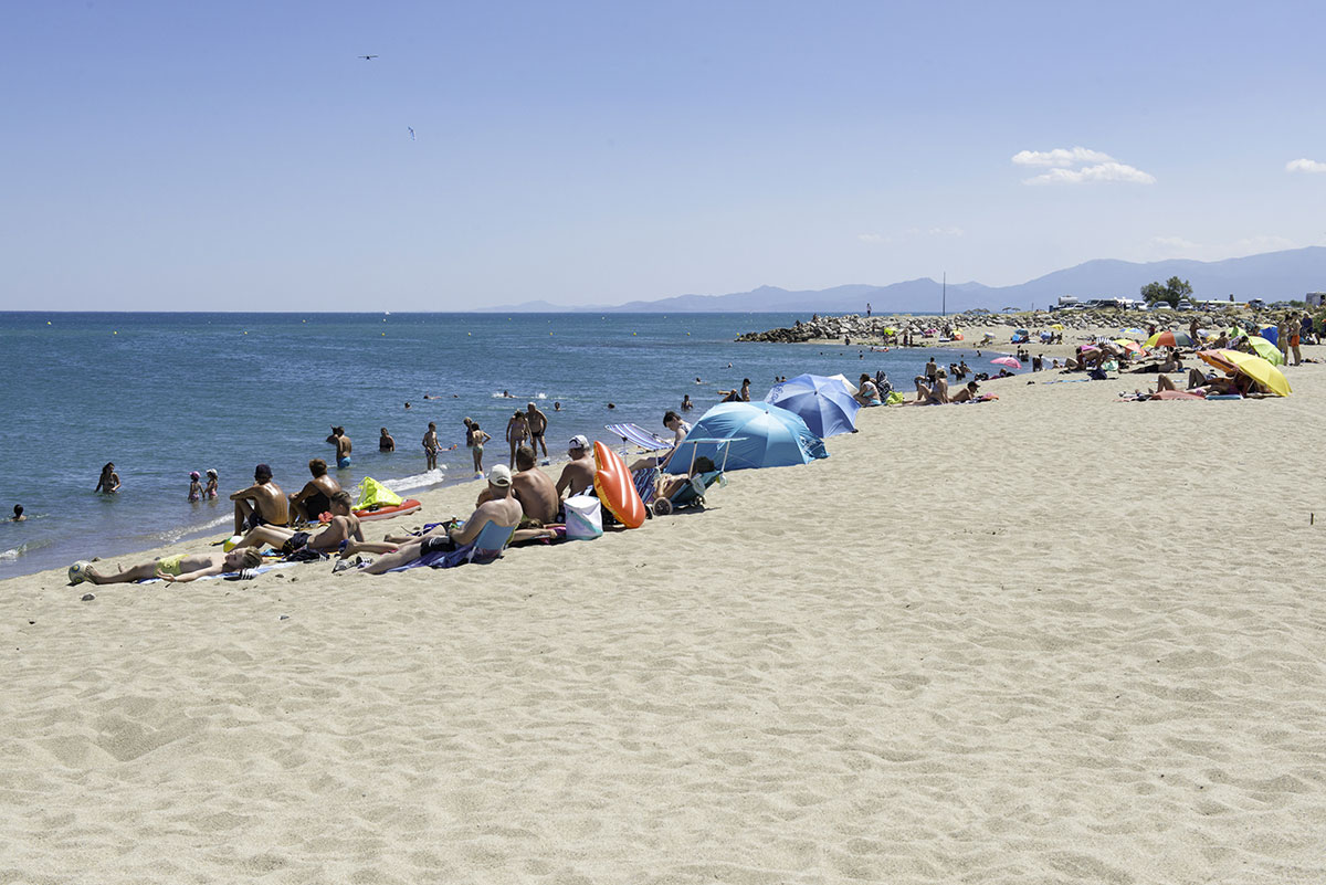 Le Cers Languedoc-Roussillon - Saint-Laurent-de-la-Salanque visuel 4/6