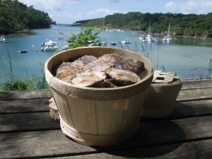 Le Chateau De Belon Bretagne - Riec-sur-Bélon visuel 1/1 Le Chateau De Belon Bretagne - Riec-sur-Bélon visuel 1/1